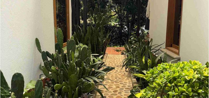 Casa en Venta en Guarne, La Clara-20