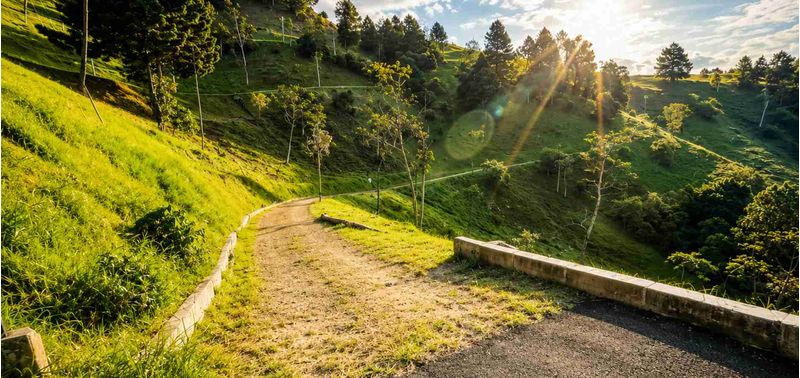 Lote en Venta en Envigado, Alto De Palmas-3
