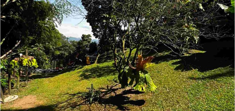 Casa en Venta en Envigado, El Esmeraldal-43