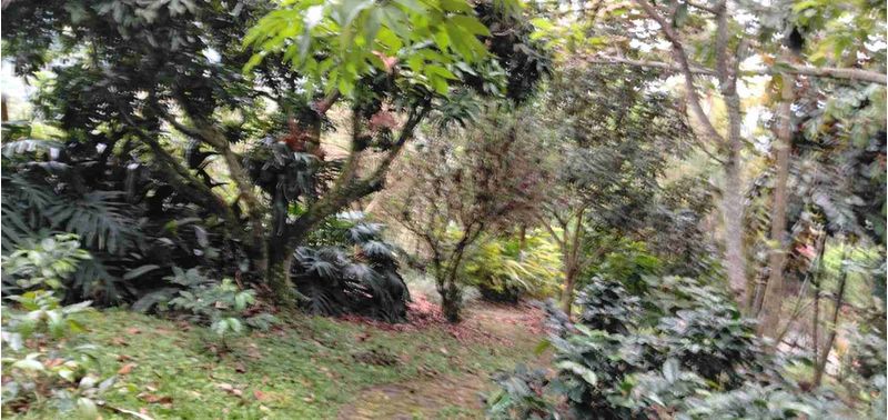 Casa en Venta en Girardota, Girardota-26
