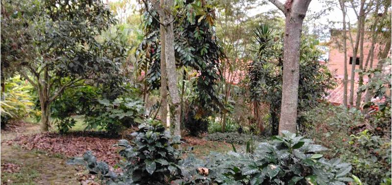 Casa en Venta en Girardota, Girardota-28