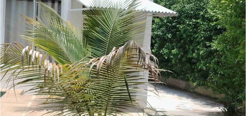 Casa en Venta en Santa Marta, Santa Marta (Distrito Turistico Cultural E Historico)-11