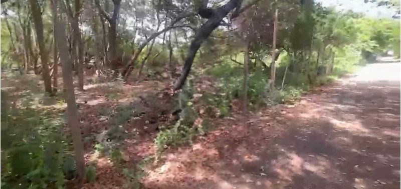 Lote en Venta en Puerto Colombia, Puerto Colombia-1
