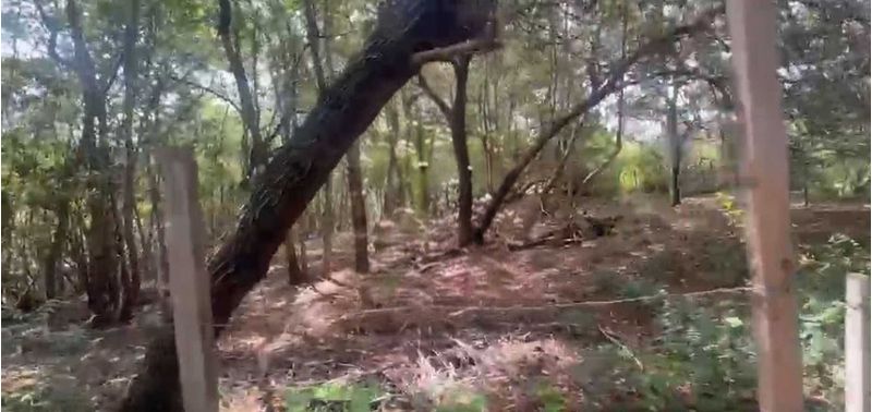 Lote en Venta en Puerto Colombia, Puerto Colombia-3