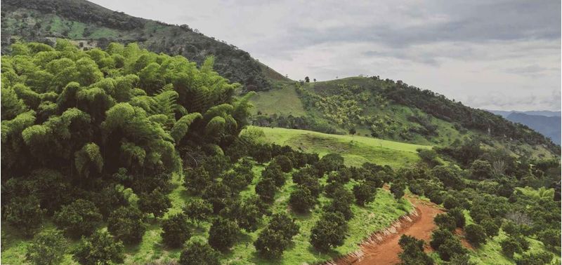 Lote en Venta en Tarso, Tarso-1