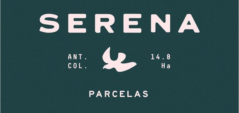 Lote en Venta en Tarso, Tarso-10