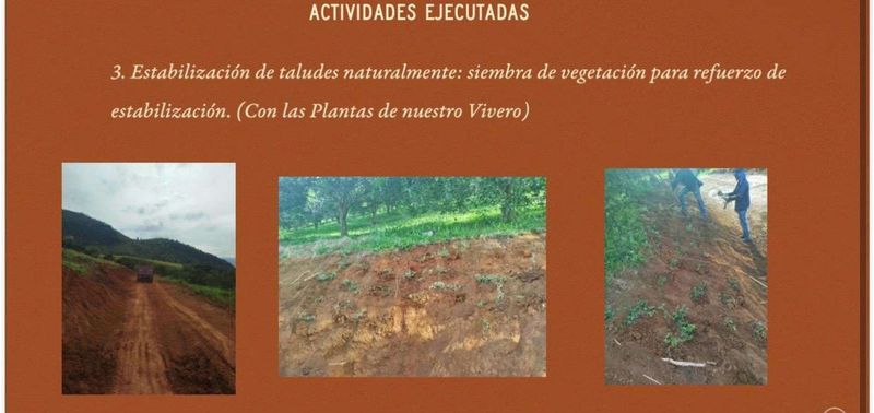 Lote en Venta en Tarso, Tarso-29