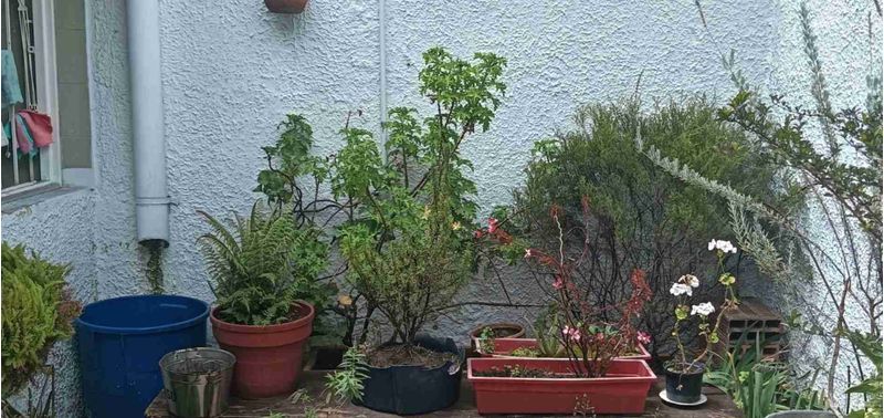 Casa en Venta en Bogotá, D.C., Villa Magdala-20