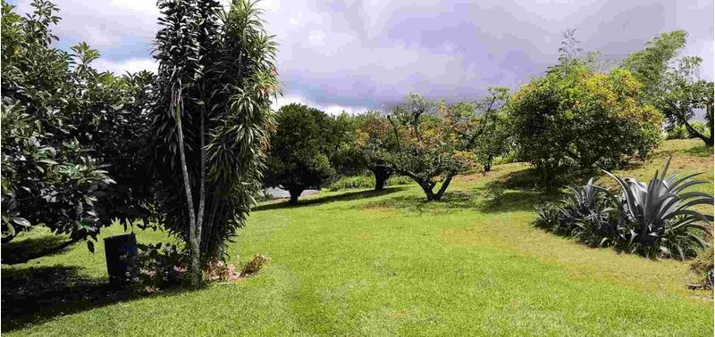 Casa en Venta en Peñol, Peñol-4