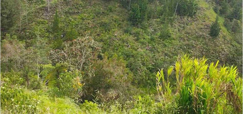Lote en Venta en San Vicente Ferrer, San Vicente-1