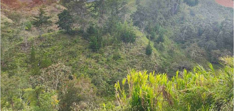 Lote en Venta en San Vicente Ferrer, San Vicente-6