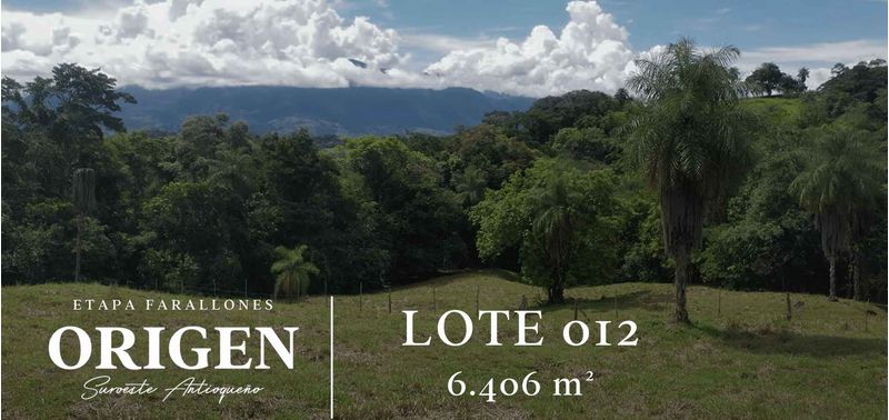 Lote en Venta en La Pintada, La Pintada-3