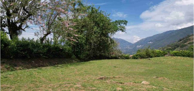 Lote en Venta en Venecia, Venecia-1