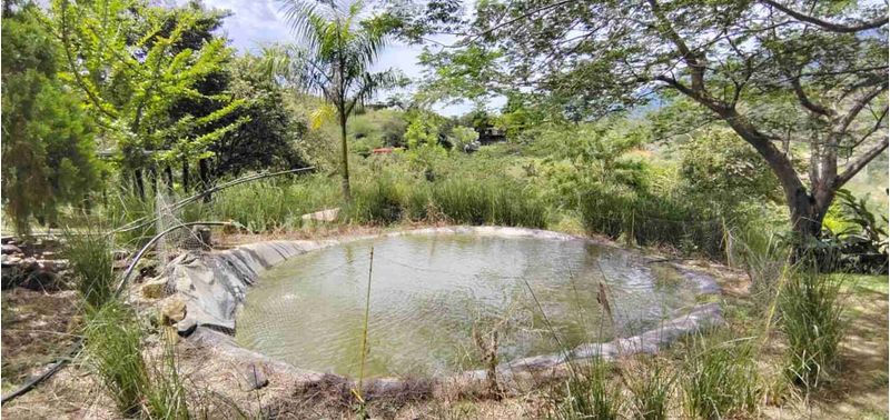 Casa en Venta en Santa Fé De Antioquia, Santa Fe Antioquia-20