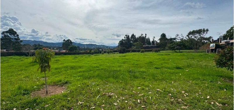 Lote en Venta en La Ceja, La Ceja-3