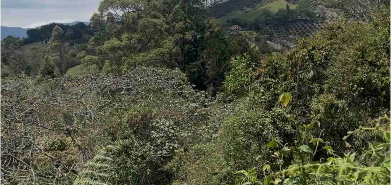 Lote en Venta en Rionegro, Rionegro-3