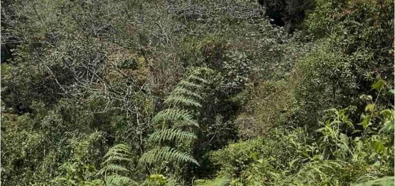 Lote en Venta en Rionegro, Rionegro-5