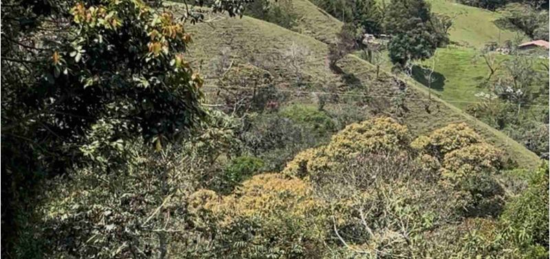 Lote en Venta en Rionegro, Rionegro-6