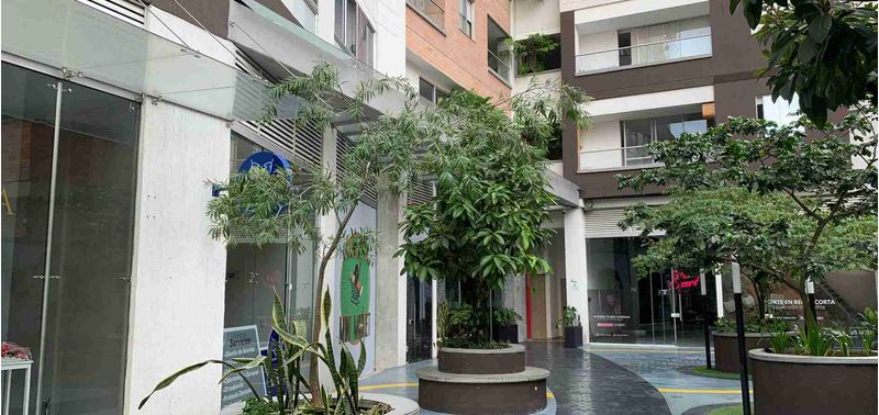 Apartamento en Venta en Medellín, Colinas de La Candelaria-0