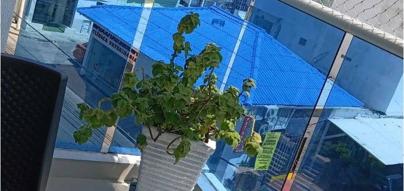 Apartamento en Venta en Cartagena De Indias, Manga-7