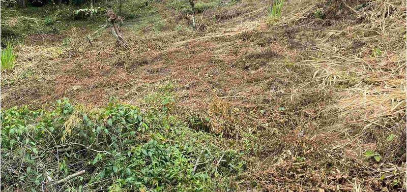 Lote en Venta en Sopetrán, Sopetrán-7
