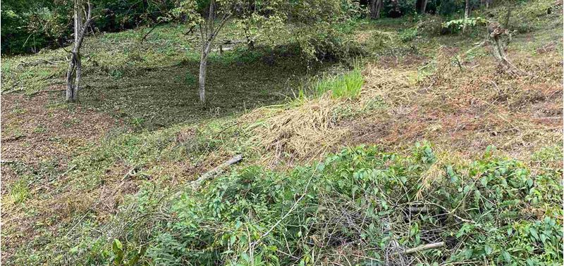 Lote en Venta en Sopetrán, Sopetrán-9