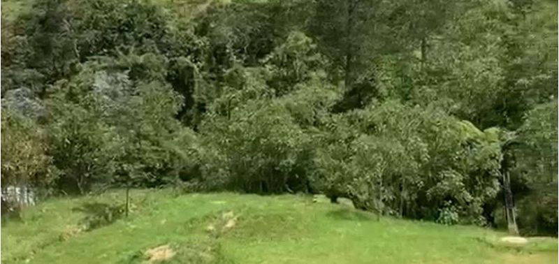 Lote en Venta en Envigado, Alto De Palmas-0