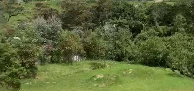 Lote en Venta en Envigado, Alto De Palmas-3