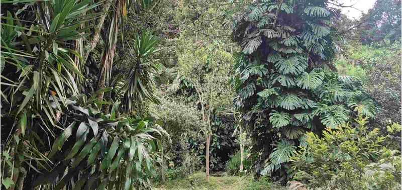 Lote en Venta en Medellín, San Cristóbal-7