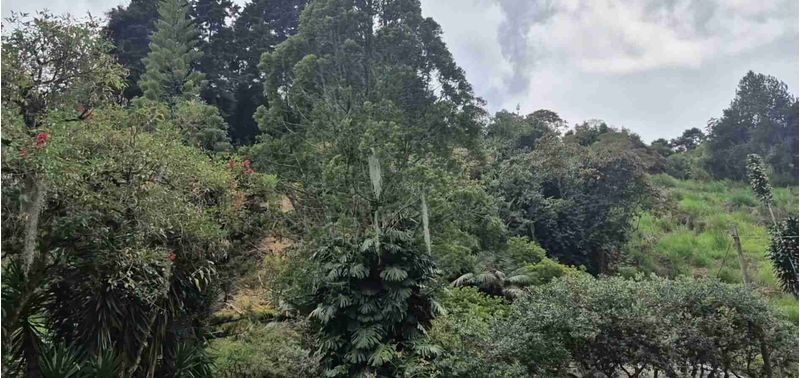 Lote en Venta en Medellín, San Cristóbal-8