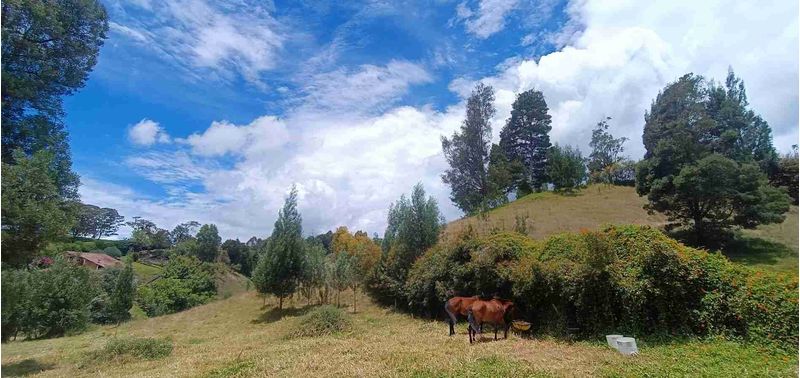 Lote en Venta en Bello, Bello