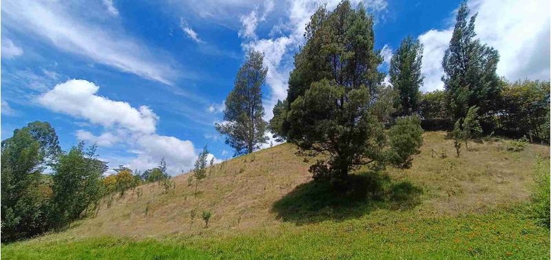 Lote en Venta en Bello, Bello-0