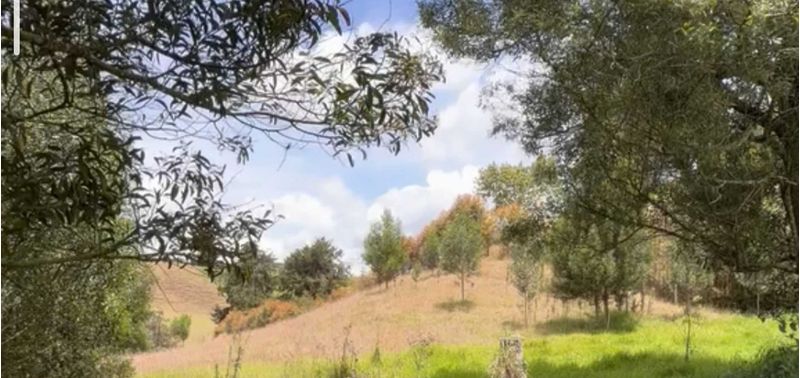 Lote en Venta en Bello, Bello-4