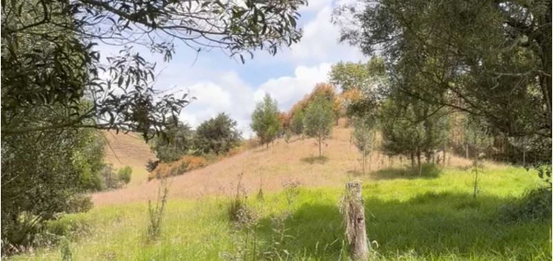 Lote en Venta en Bello, Bello-7