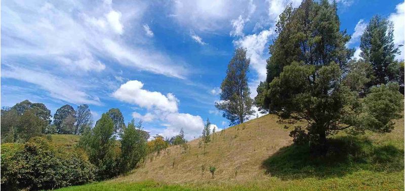 Lote en Venta en Bello, Bello-8
