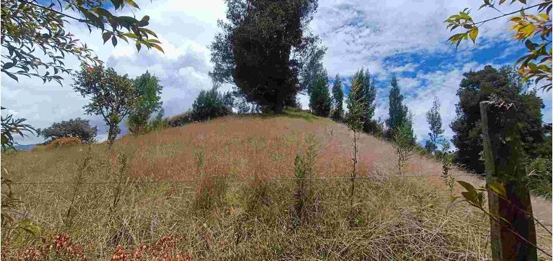 Lote en Venta en Bello, Bello-9