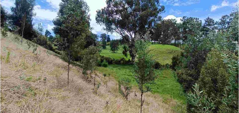 Lote en Venta en Bello, Bello-10