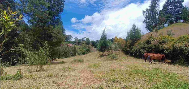 Lote en Venta en Bello, Bello-11