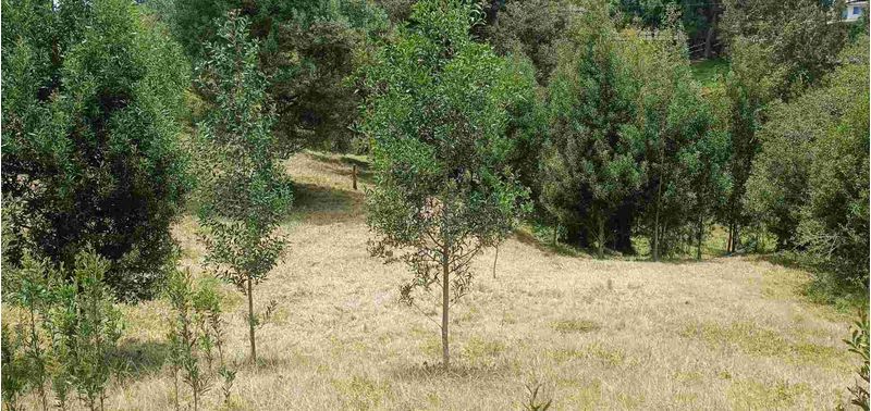 Lote en Venta en Bello, Bello-13
