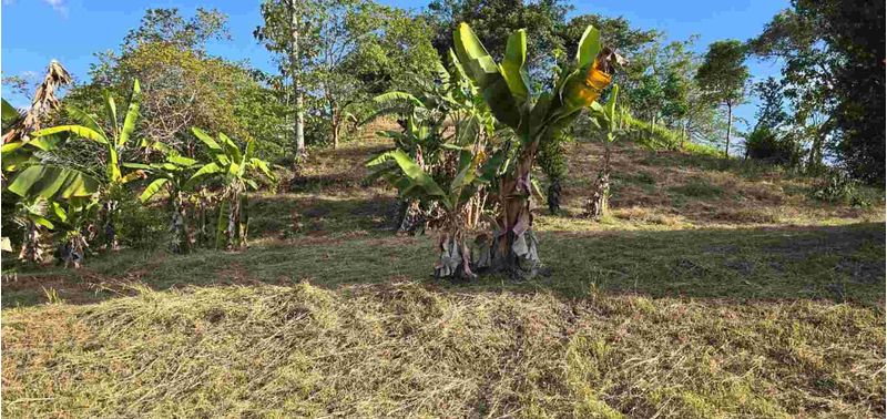 Casa en Venta en Villeta, Villeta-10