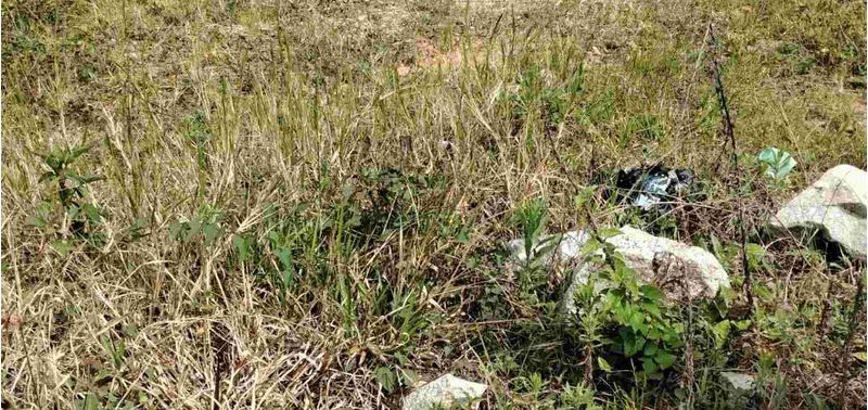Lote en Venta en El Carmen De Viboral, El Carmen de Viboral