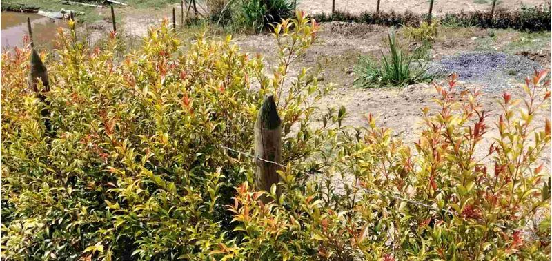 Lote en Venta en El Carmen De Viboral, El Carmen de Viboral-2
