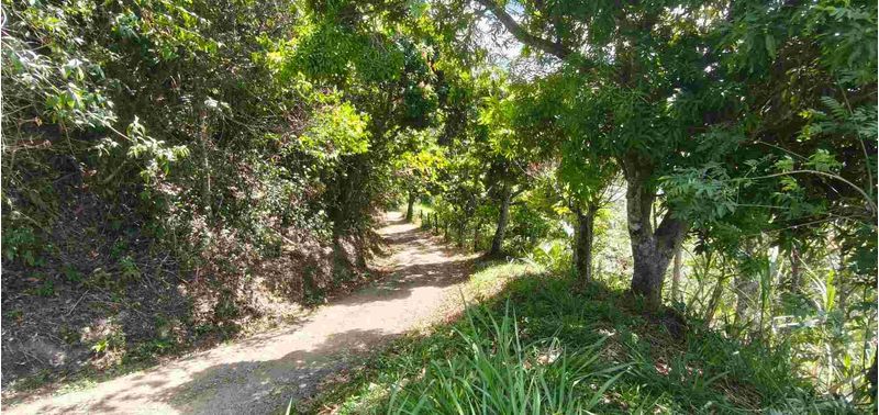Lote en Venta en Santa Bárbara, Santa Bárbara