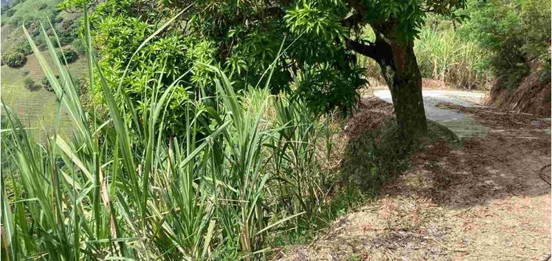 Lote en Venta en Santa Bárbara, Santa Bárbara-2