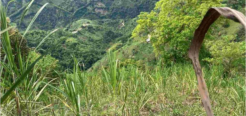 Lote en Venta en Santa Bárbara, Santa Bárbara-3