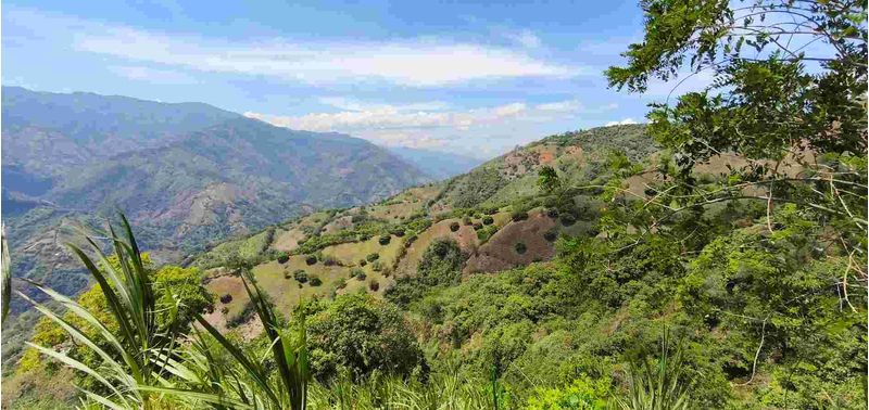 Lote en Venta en Santa Bárbara, Santa Bárbara-4