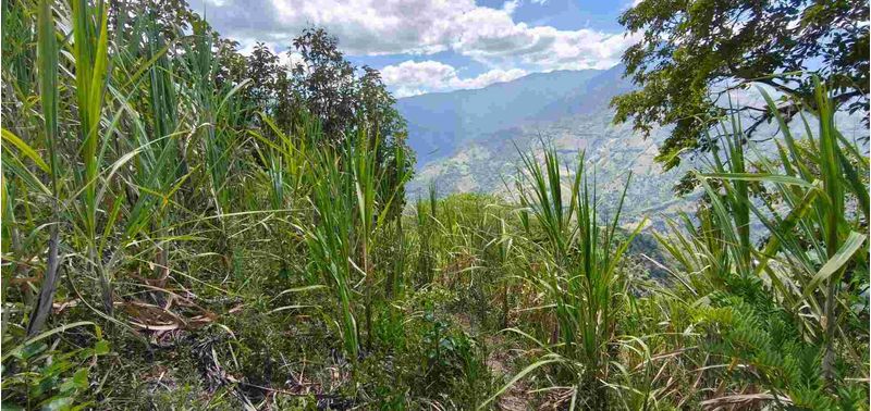 Lote en Venta en Santa Bárbara, Santa Bárbara-5