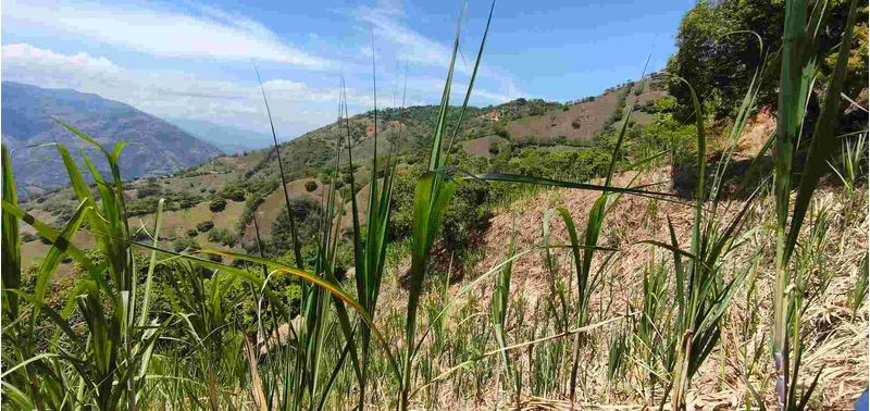 Lote en Venta en Santa Bárbara, Santa Bárbara-6