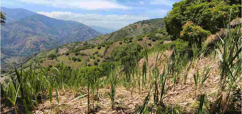 Lote en Venta en Santa Bárbara, Santa Bárbara-8
