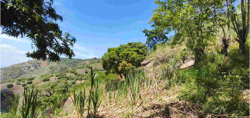Lote en Venta en Santa Bárbara, Santa Bárbara-10
